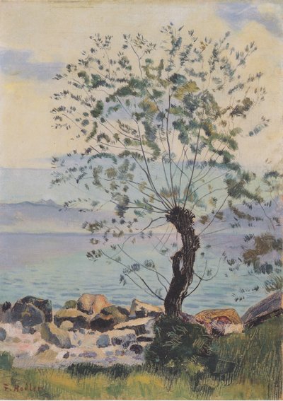 Willow Tree by the Lake by Ferdinand Hodler